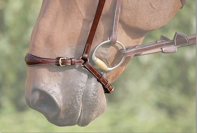 Dy'on Collectie Hannoveraanse Neusriem 2 Dy'on Collectie Hannoveraanse Neusriem - Afbeelding 2