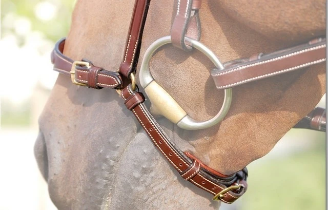 Dy'on Collectie Hannoveraanse Neusriem 3 Dy'on Collectie Hannoveraanse Neusriem - Afbeelding 3