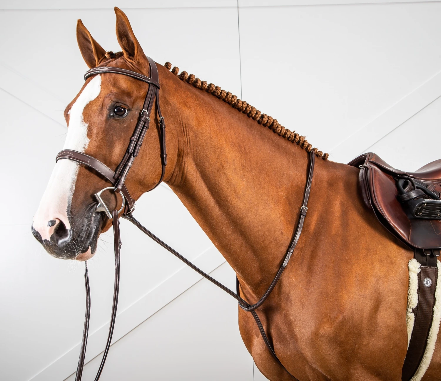 Dy'on Vaste Martingaal 2 Dy'on Vaste Martingaal - Afbeelding 2