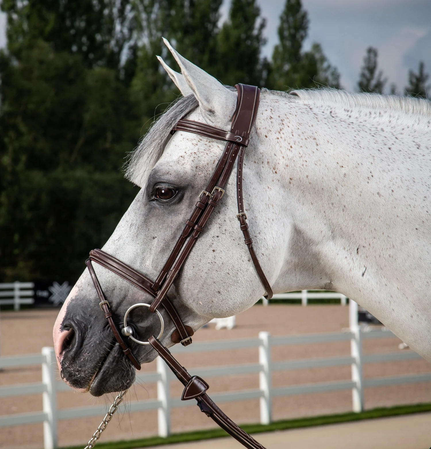 Dy'on Hunter Collectie Hoofdstel Gecombineerde Neusriem 1 Dy'on Hunter Collectie Hoofdstel Gecombineerde Neusriem