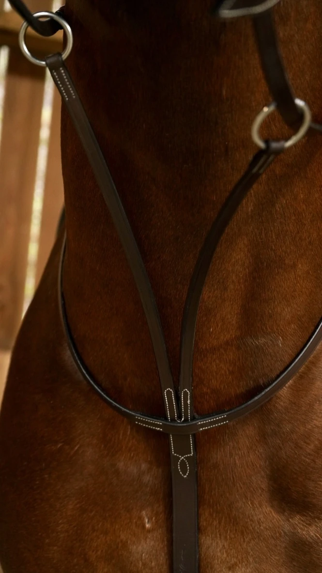 Dy'on Working Collectie Martingaal 2 Dy'on Working Collectie Martingaal - Afbeelding 2