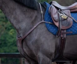 Dy'on Collectie Voortuig Lange Brug