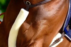 Kentucky Borsttuighoes Bont