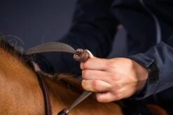 Dy'on Collectie Verstelbare Teugels Met Handstopper -Paardensport image 1160