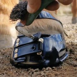 Scoot Boots Hoefschoenen -Paardensport image 1219