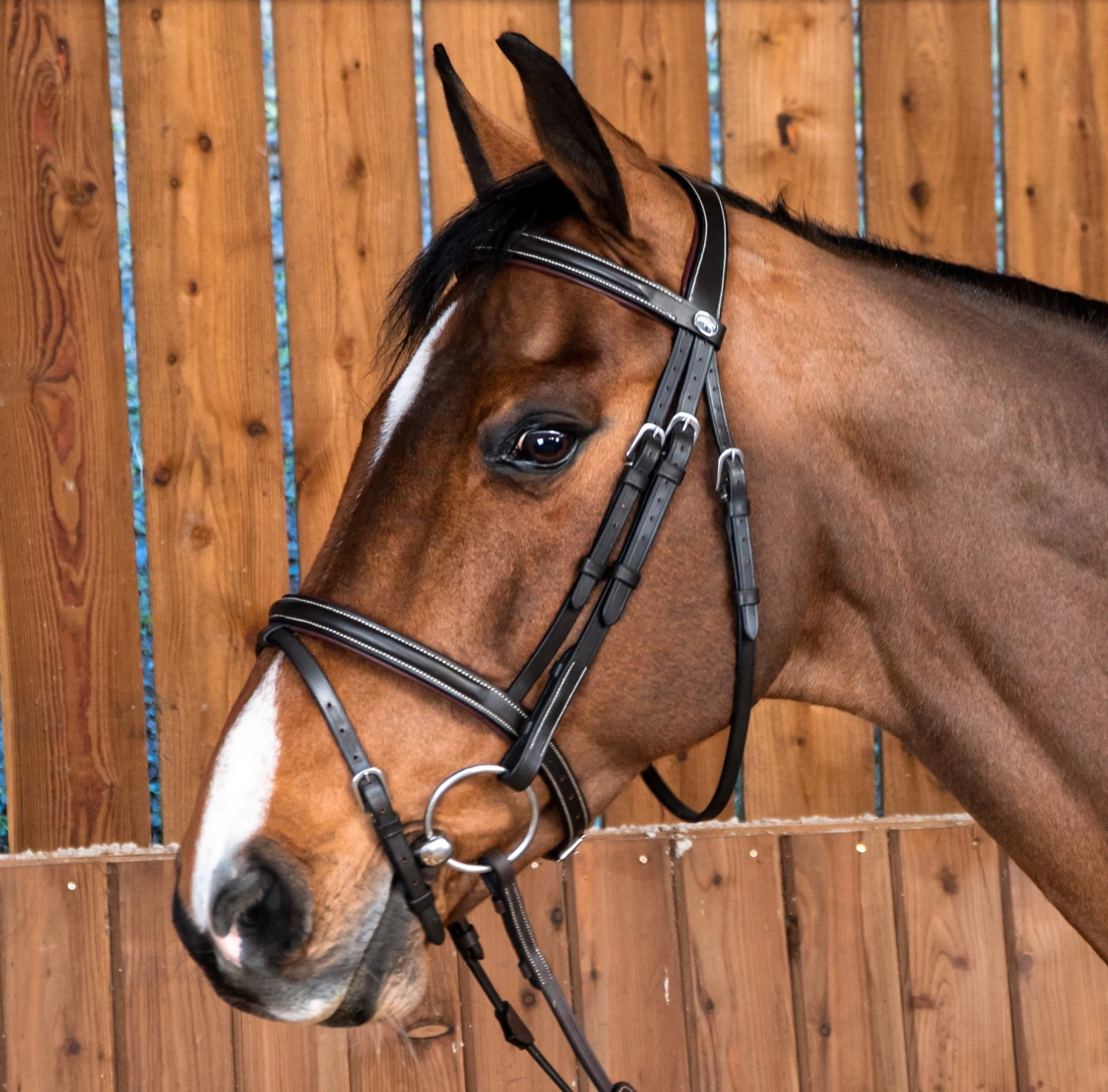 Dy'on Working Collectie Hoofdstel Gecombineerde Neusriem 1 Dy'on Working Collectie Hoofdstel Gecombineerde Neusriem