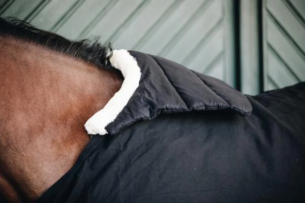 Kentucky Paarden BIB Winter 7 Kentucky Paarden BIB Winter - Afbeelding 7