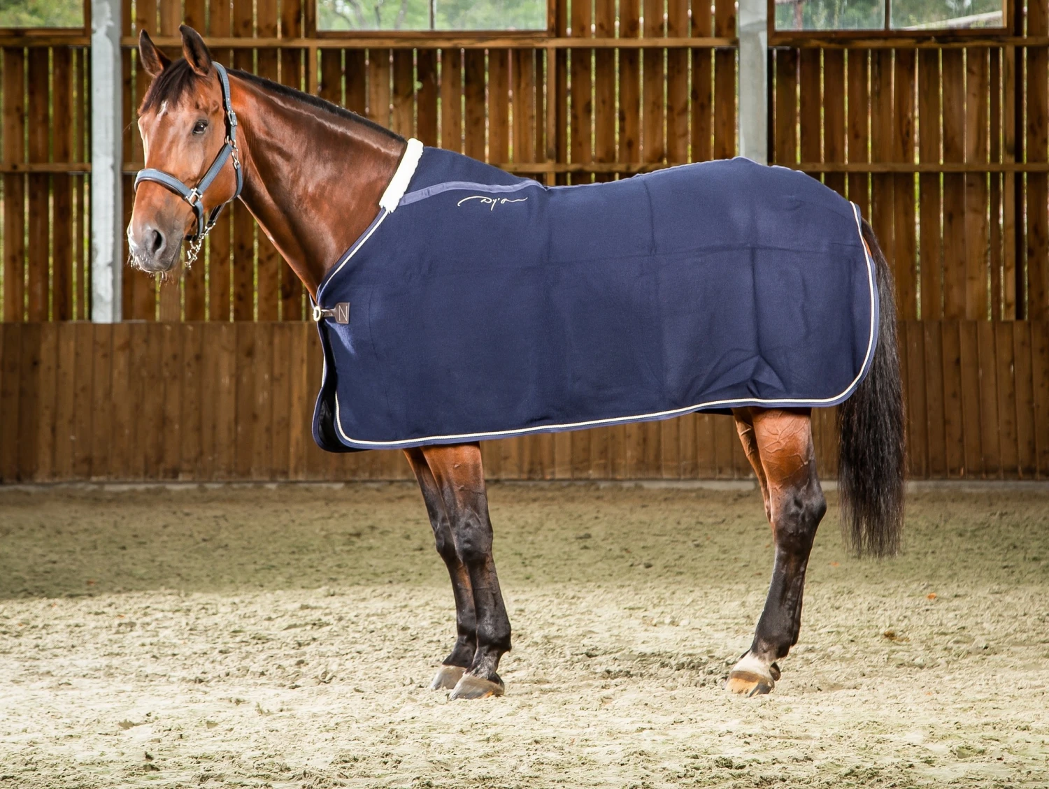 Dy'on Wollen Deken 1 Dy'on Wollen Deken