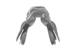 Prestige Zadel Joy Jumper 16" -Paardensport image 1332