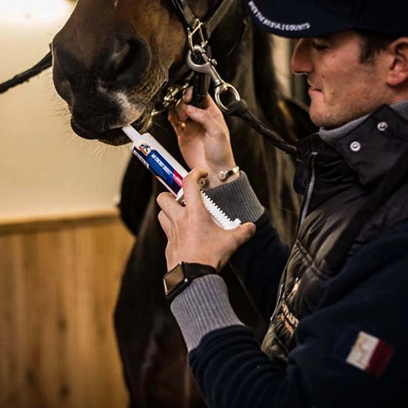 Paardensport 17 Paardensport -Paardensport image 1439