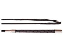 Premiere 2-Delige Longeerzweep