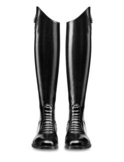 Nieuwkomers -Paardensport image 358