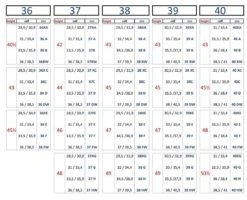 Tucci Rijlaarzen Harley Scott Brash - Bruine Piping 16 Tucci Rijlaarzen Harley Scott Brash - Bruine Piping -Paardensport image 393