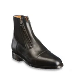 Nieuwkomers -Paardensport image 470