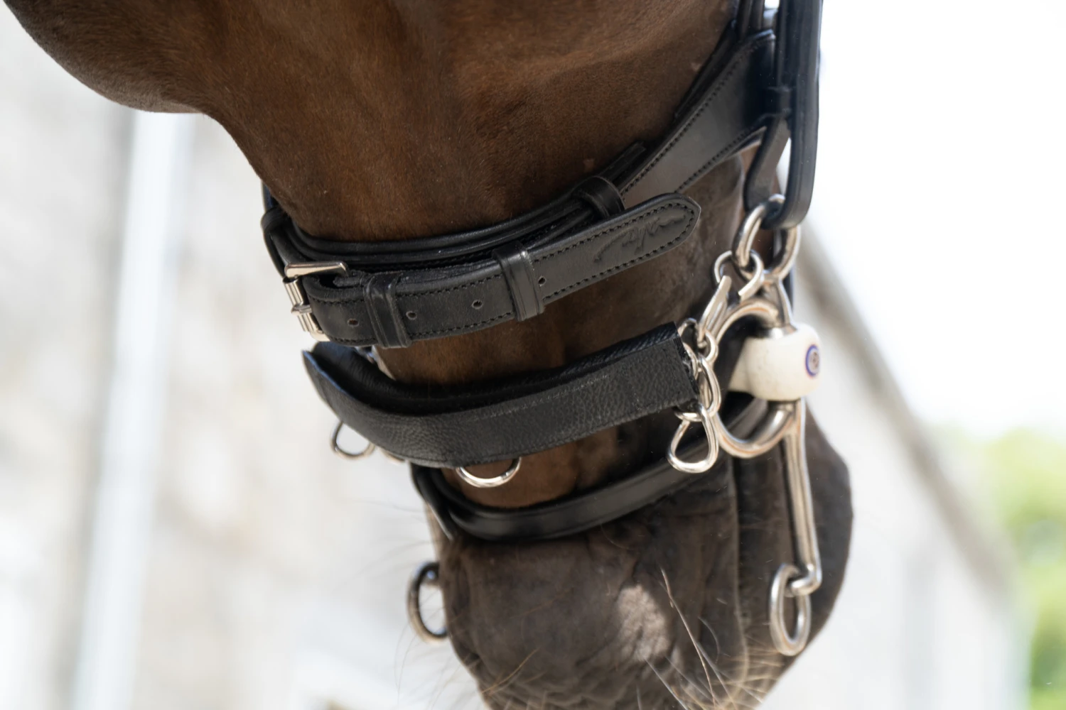 Dy'on Leren Kinketting Beschermer 2 Dy'on Leren Kinketting Beschermer - Afbeelding 2