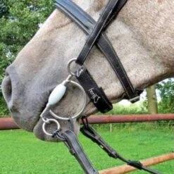 Beris Neopreen Kin Strip 7 Beris Neopreen Kin Strip -Paardensport image 926