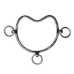 Feeling Chifney - Hengstenbit