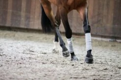 Incrediwear Equine Therapeutic Bandages 6 Incrediwear Equine Therapeutic Bandages -Paardensport image 948