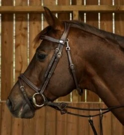 Dy'on Working Collectie Hoofdstel Gecombineerde Neusriem Clip -Paardensport image 959