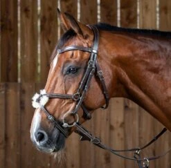 Dy'on Working Collectie Hoofdstel Mexicaanse Neusriem